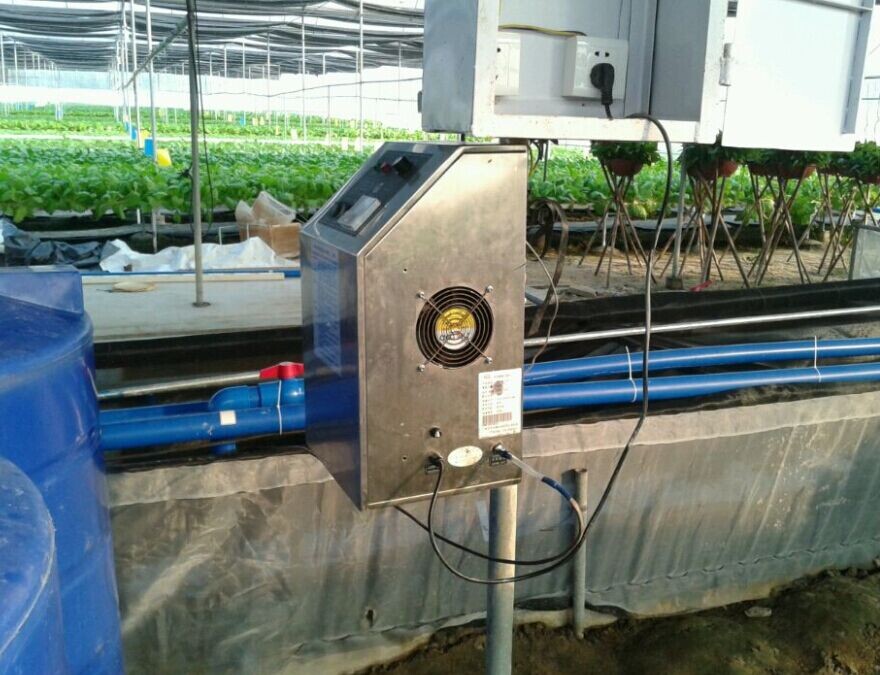 臭氧應用在蔬菜養殖場